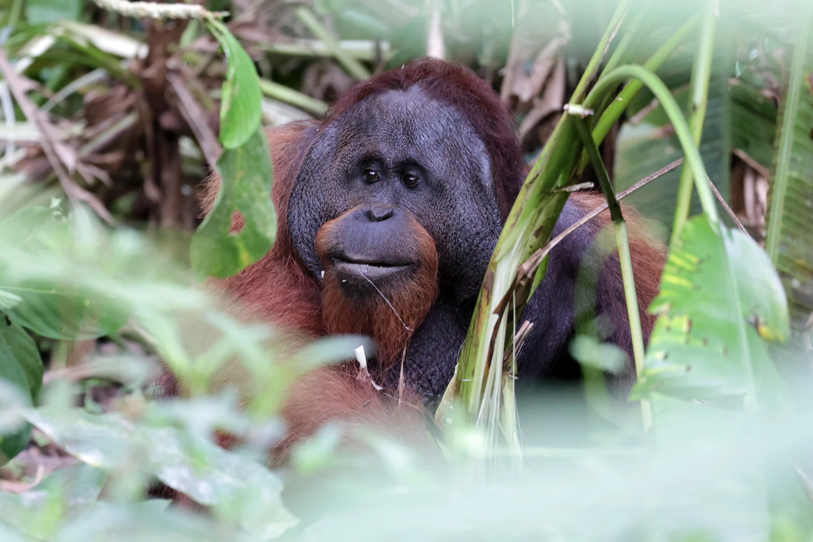 Beautiful bird photography 19