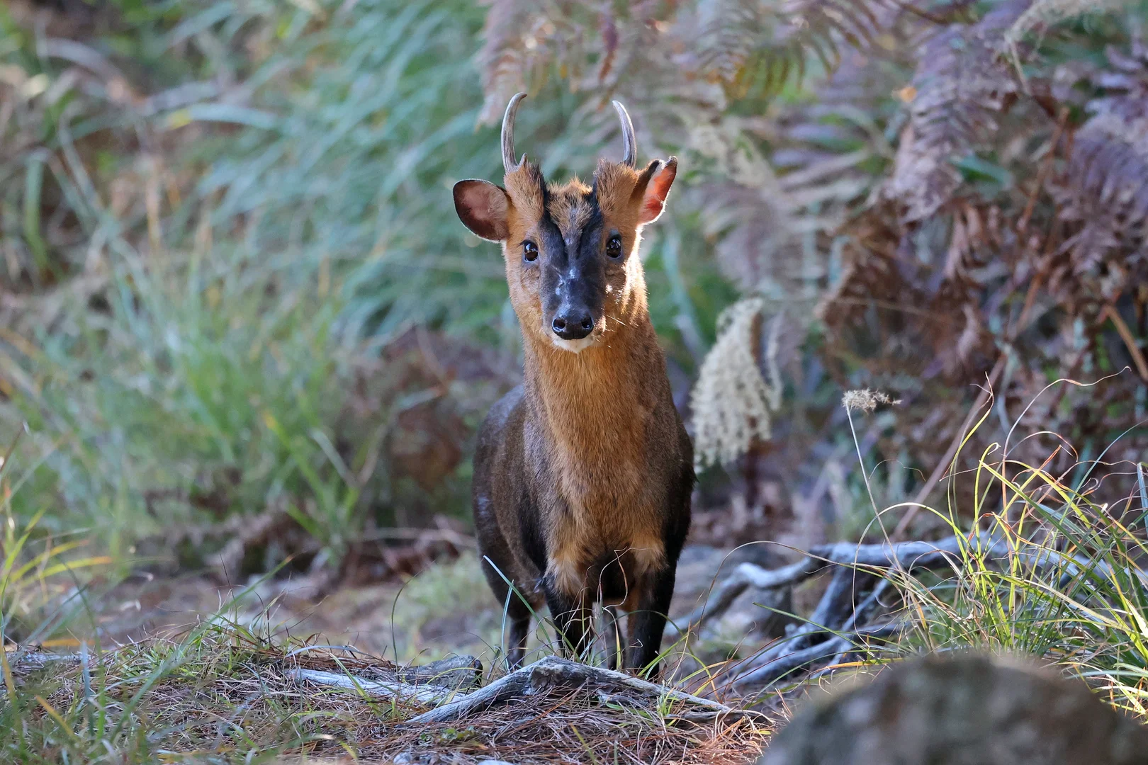 Beautiful bird photography 20